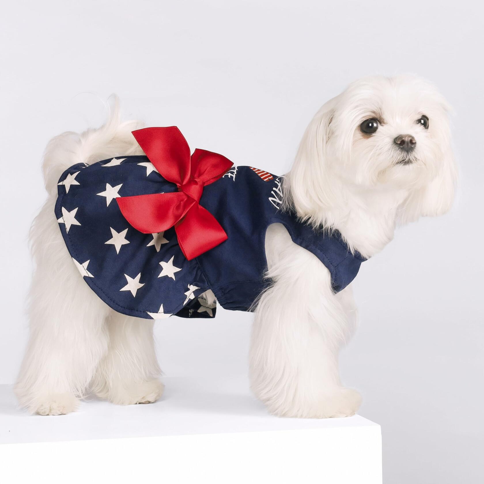 Fitwarm 100% Cotton Holiday Make A Wish Dog Dress Black Size XXS
