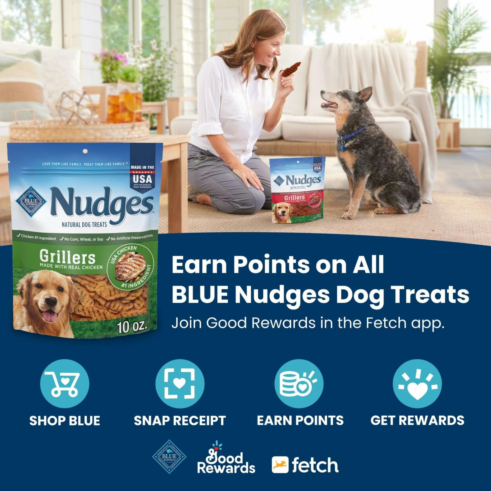 BestBy11/28/2025 Blue Buffalo Nudges Jerky Cuts Dog Treats Chicken 10oz USA