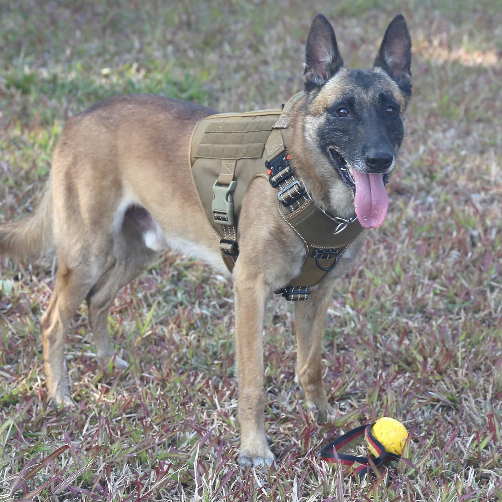 ICEFANG GN1 Reflective Tactical Dog Harness MOLLE Brown Pack of 1 Size XL