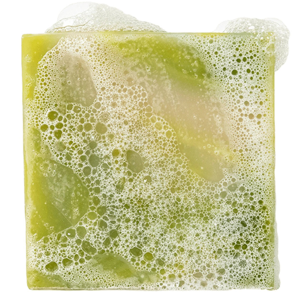 Cool Fresh Aloe