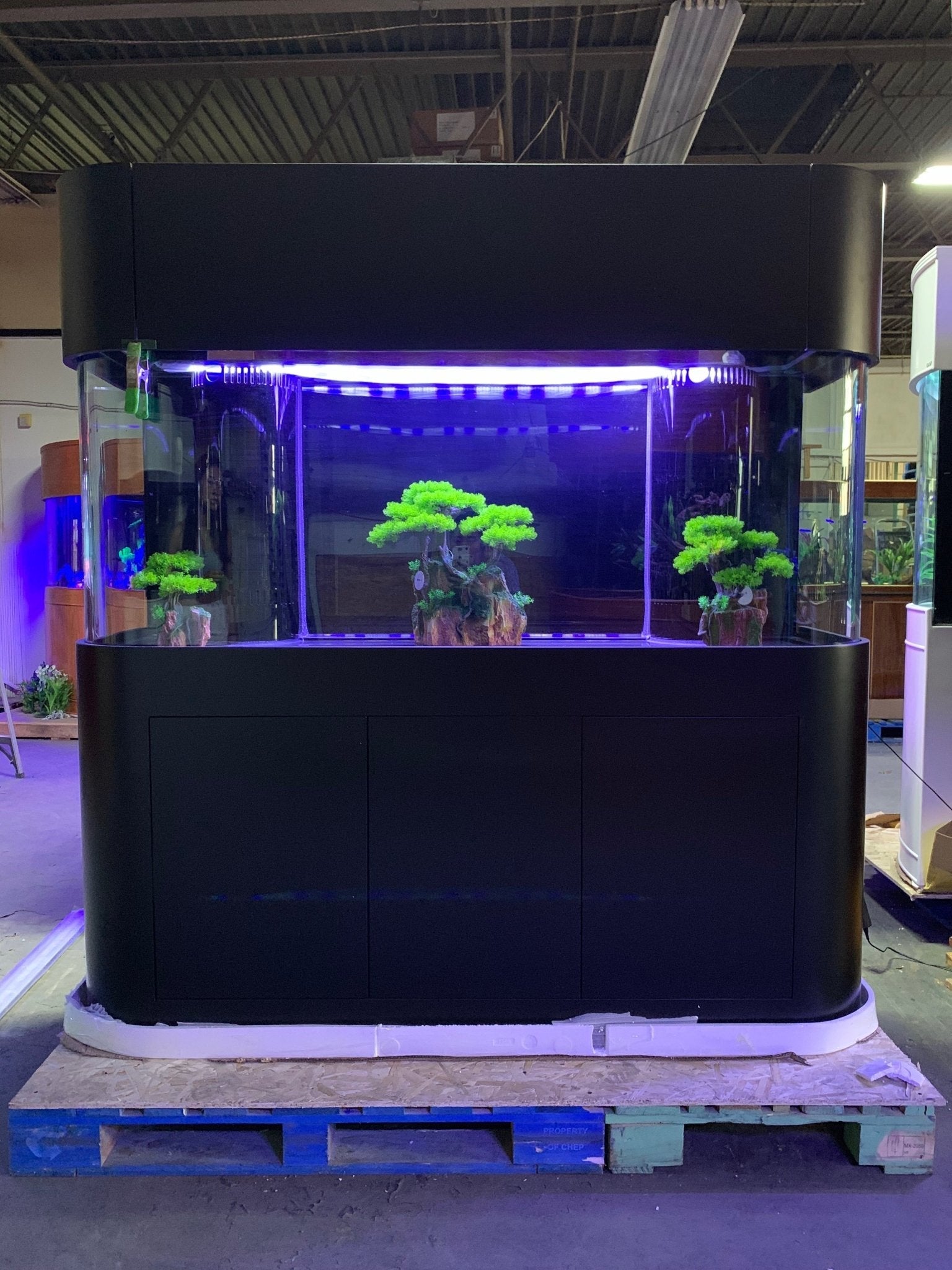 Glass Panoramic Flat
