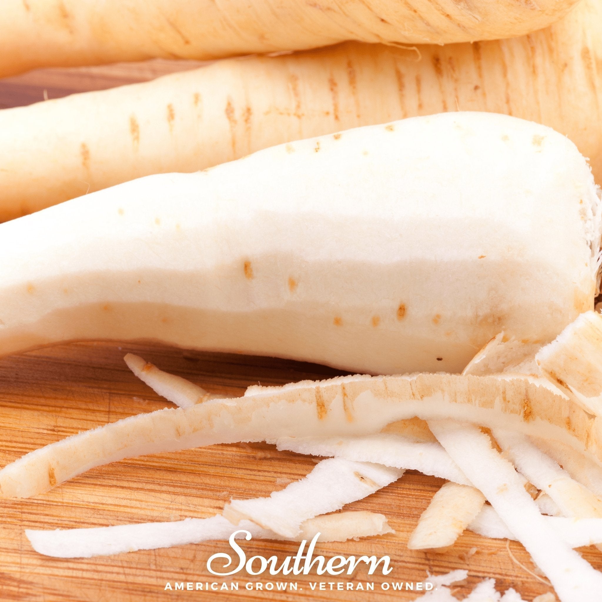 Harris Model Parsnip – 100 Seeds