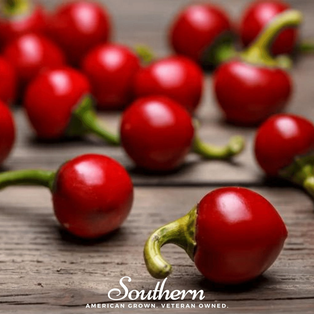 Red Hot Cherry Pepper – 25 Seeds
