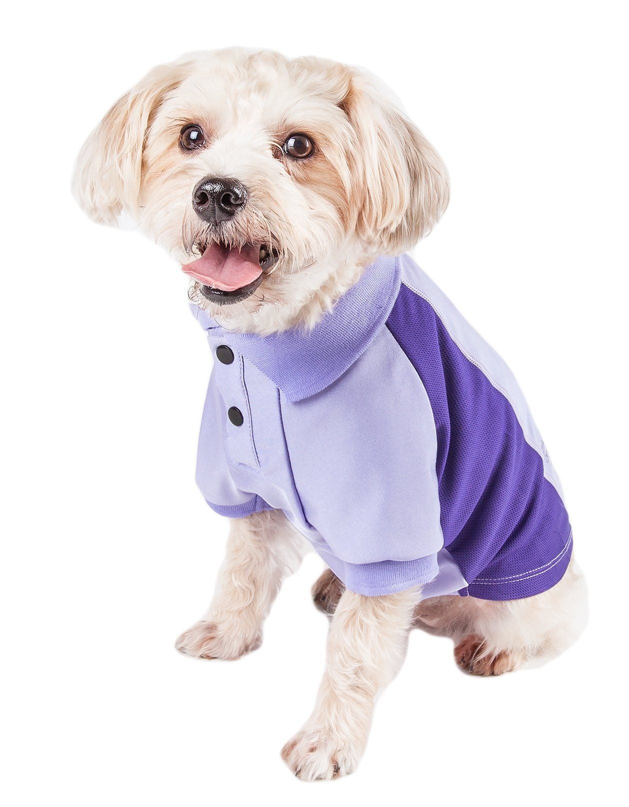 Pet Life ® Active 'Barko Pawlo' Relax-Stretch Quick-Drying Performance Dog Polo T-Shirt
