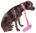 Pet Life ® 'Aero Mesh' 2-In-1 Breathable and Adjustable Dual-Sided Mesh Dog Leash and Collar