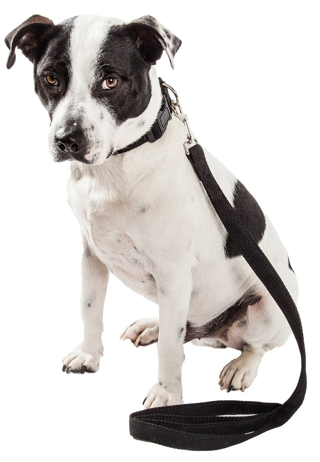 Pet Life ® 'Aero Mesh' 2-In-1 Breathable and Adjustable Dual-Sided Mesh Dog Leash and Collar