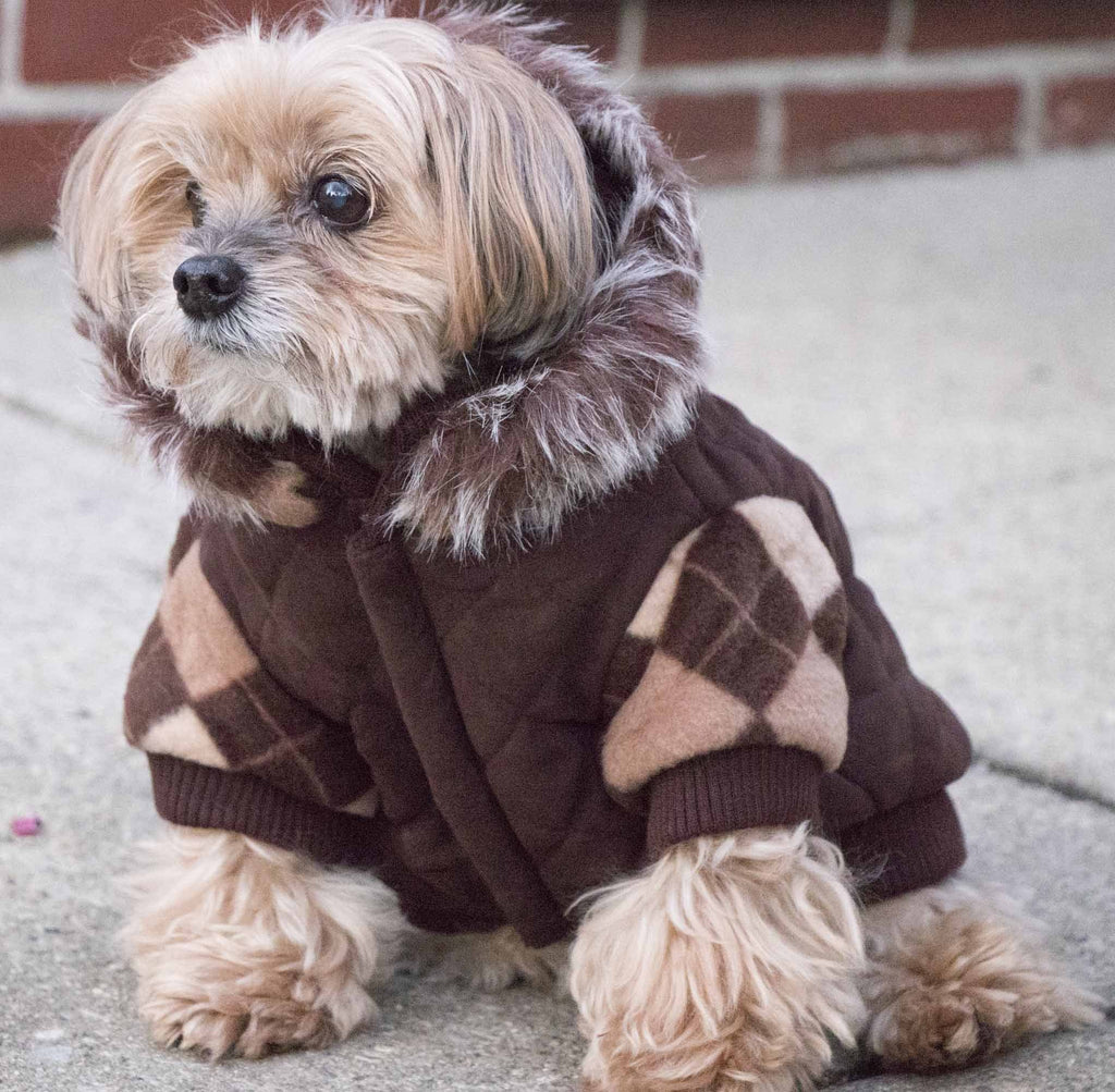 Pet Life ® 'Aygyle Style' 3M Insulated Designer Patterned Suede Dog Coat w/ Removable Hood