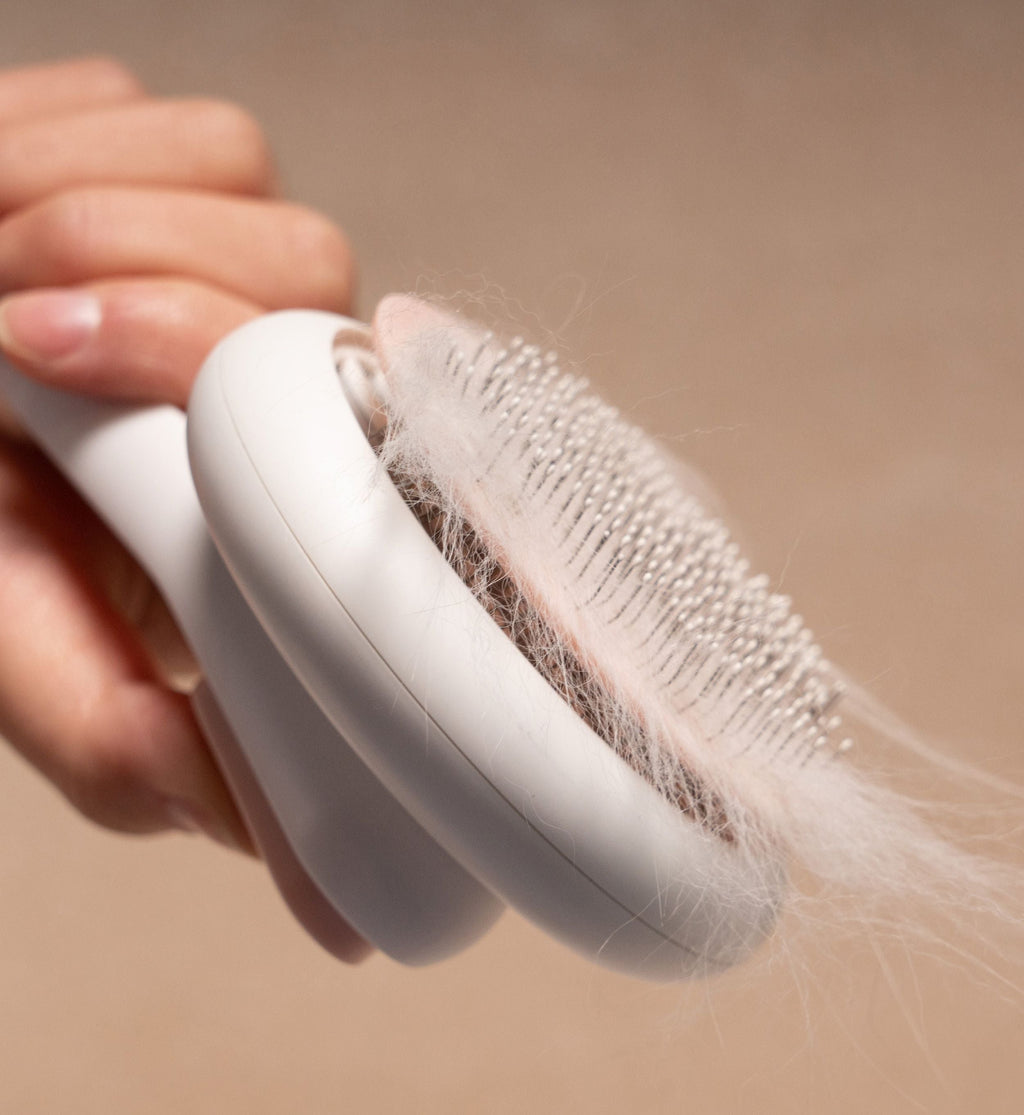 Pet Life ® 'Concepto' Modern Bristle Grooming Pet Deshedder Comb
