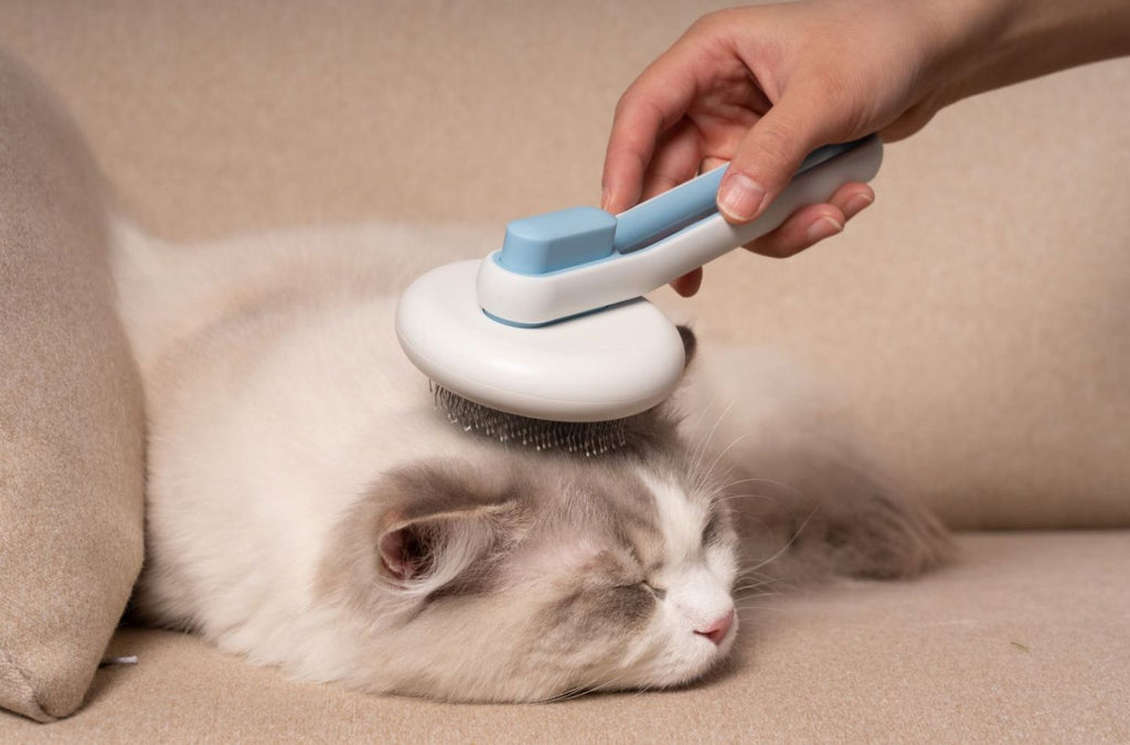 Pet Life ® 'Concepto' Modern Bristle Grooming Pet Deshedder Comb
