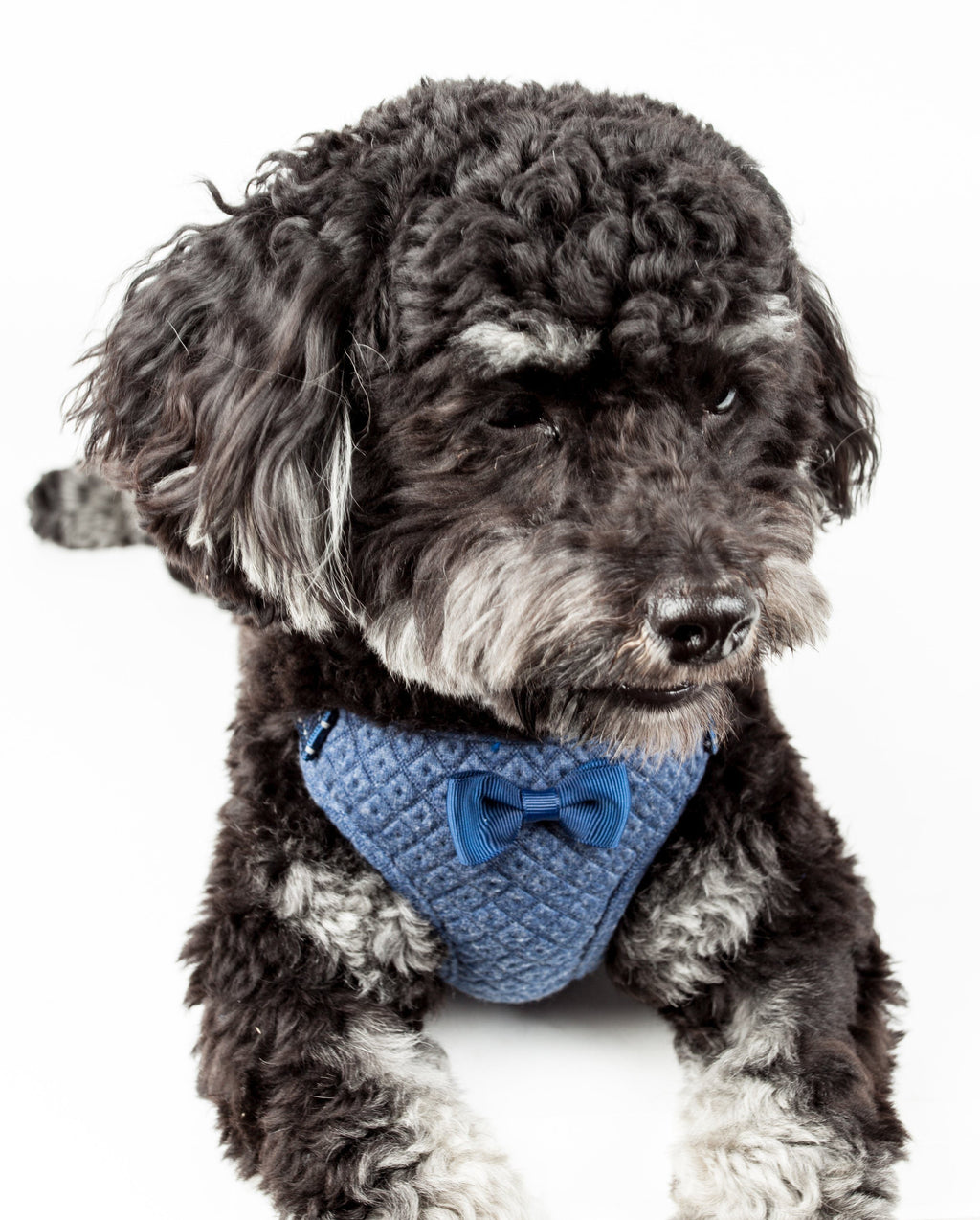 Pet Life ®  'Flam-Bowyant' Mesh Reversed and Adjustable Dog Harness