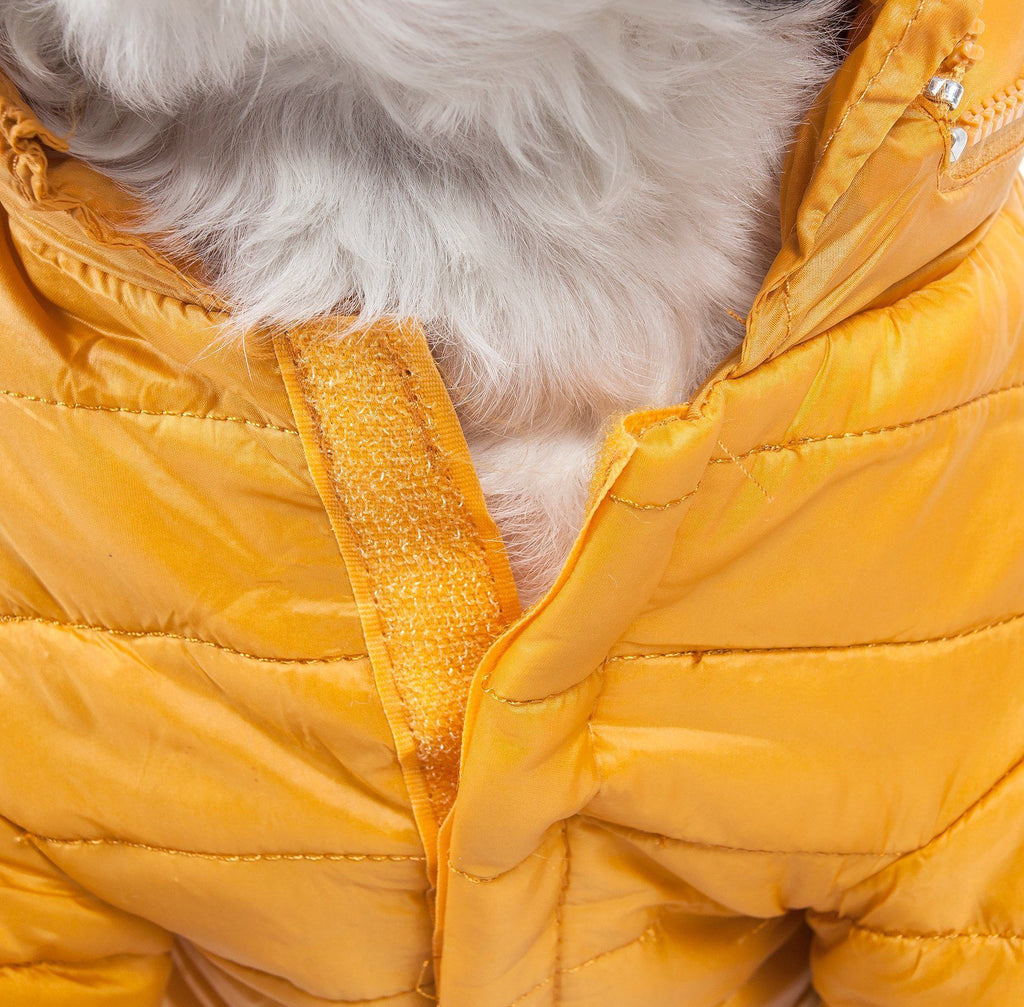Pet Life ® Lightweight Adjustable and Collapsible 'Sporty Avalanche' Dog Coat w/ Pop-out Zippered Hood