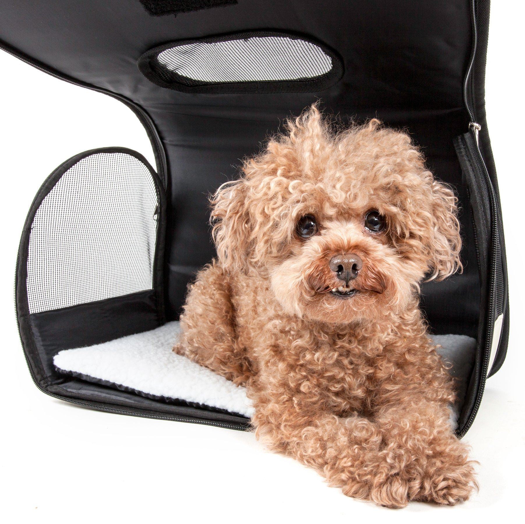 Pet Life ® Paw Patterned Airline Approved Zippered Folding Collapsible Travel Pet Dog Carrier