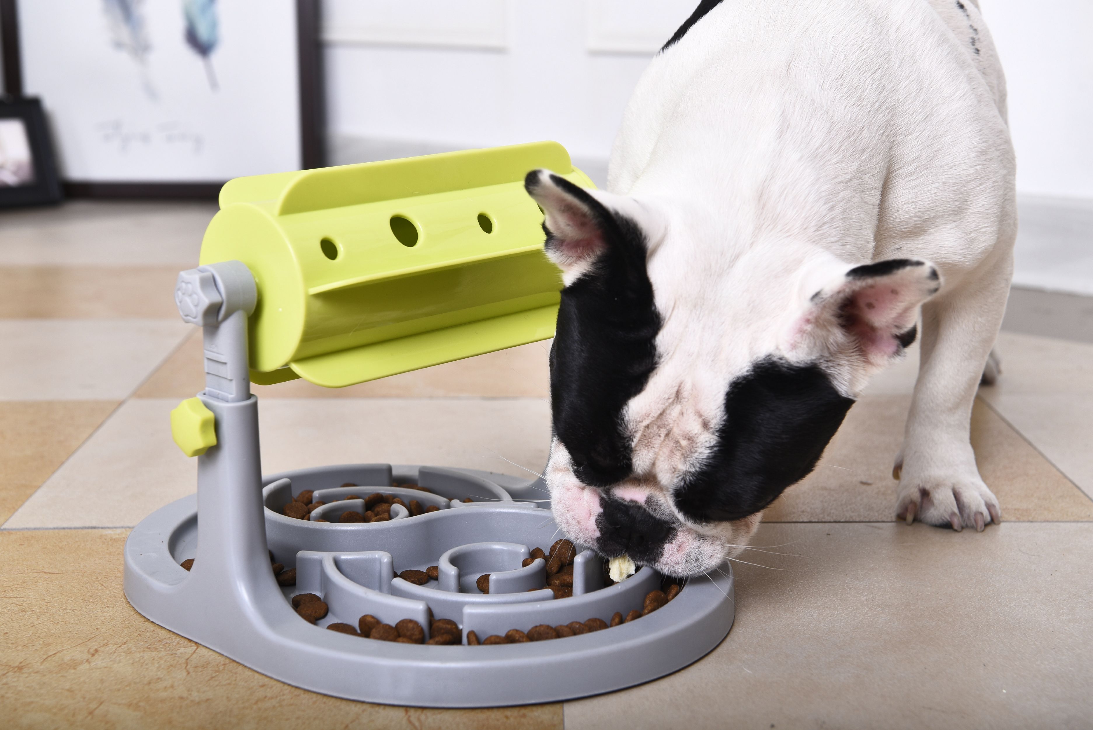 Pet Life ® 'Roto Paw' IQ Training Interactive Rotating Slow Dog Feeder