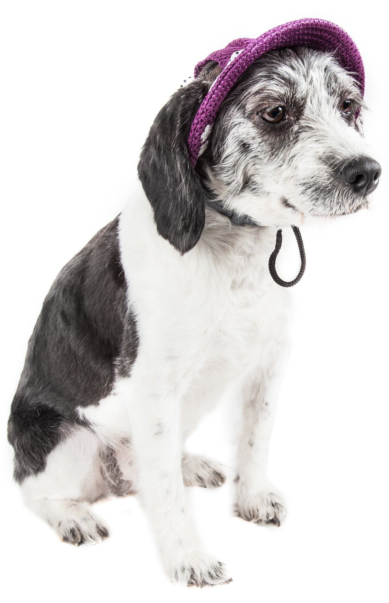 Pet Life ®  'Sea Spot Sun' UV Protectant Adjustable Fashion Mesh Brimmed Dog Hat Cap
