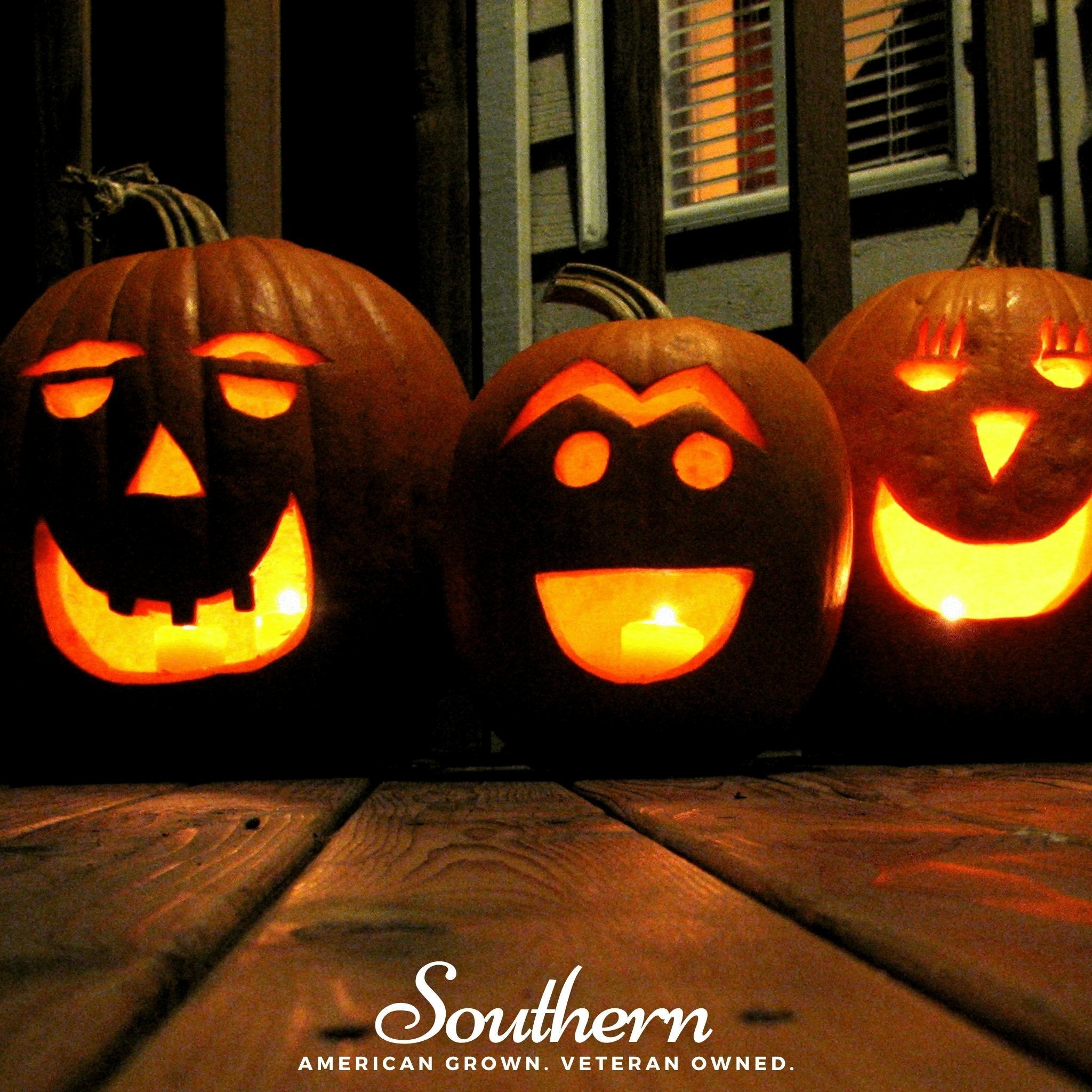 Jack O Lantern Pumpkin – 20 Seeds
