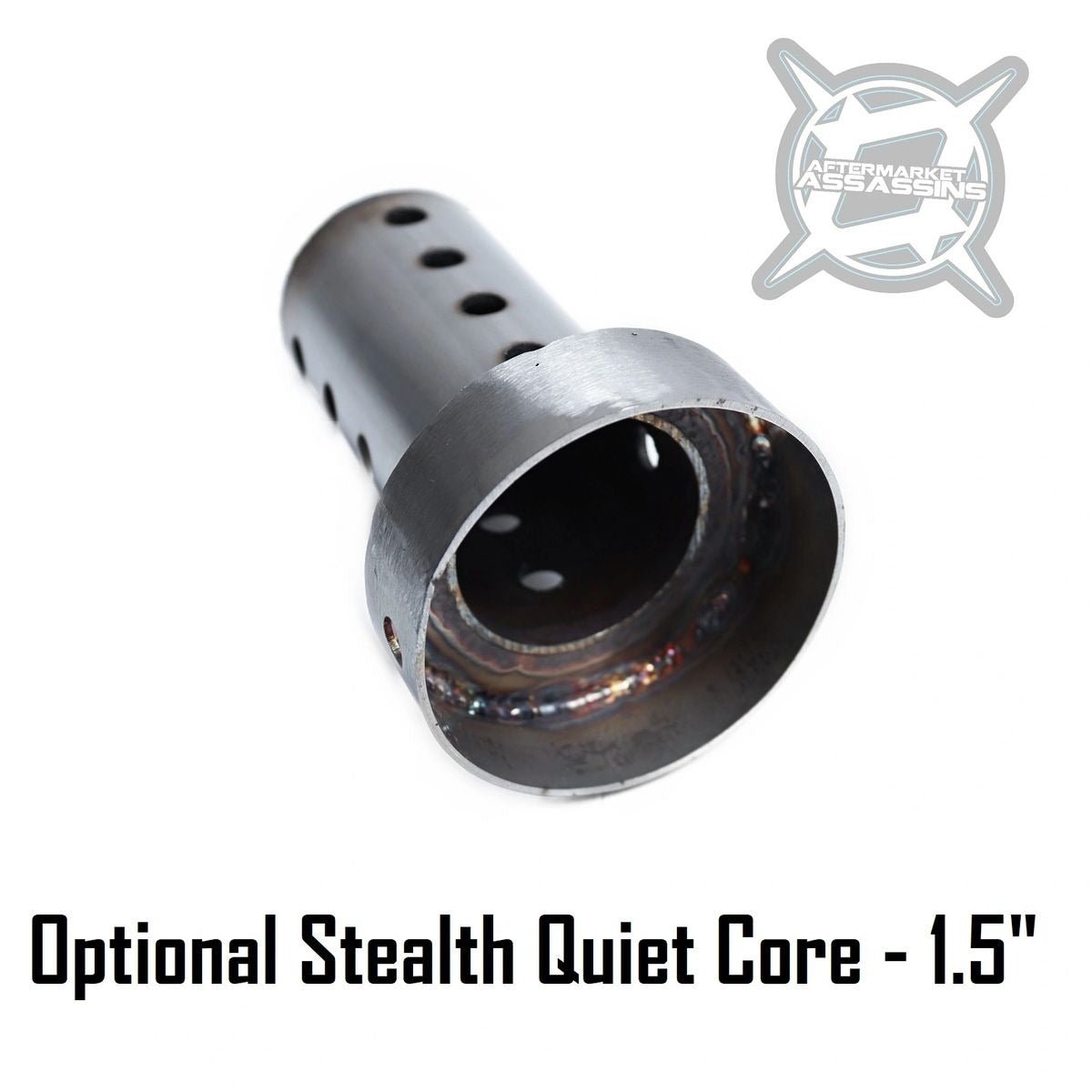 AA Stainless Slip-On Exhaust for 2024+ RZR XP 1000