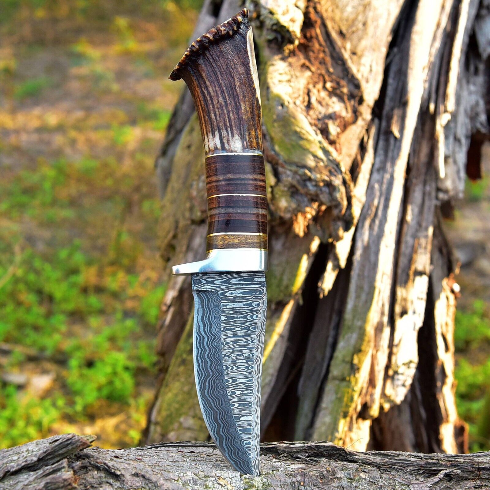 Custom Handmade Damascus Steel Hunting Knife with Rosewood, Stag Horn and Steel Guard Handle - 9 Inches by KBS Knives Store