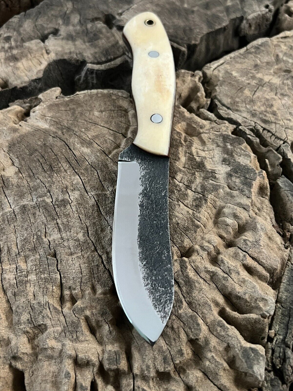 WildEdge High-Carbon Steel Bushcraft Knife – 8-Inch Survival Blade with Bone Handle