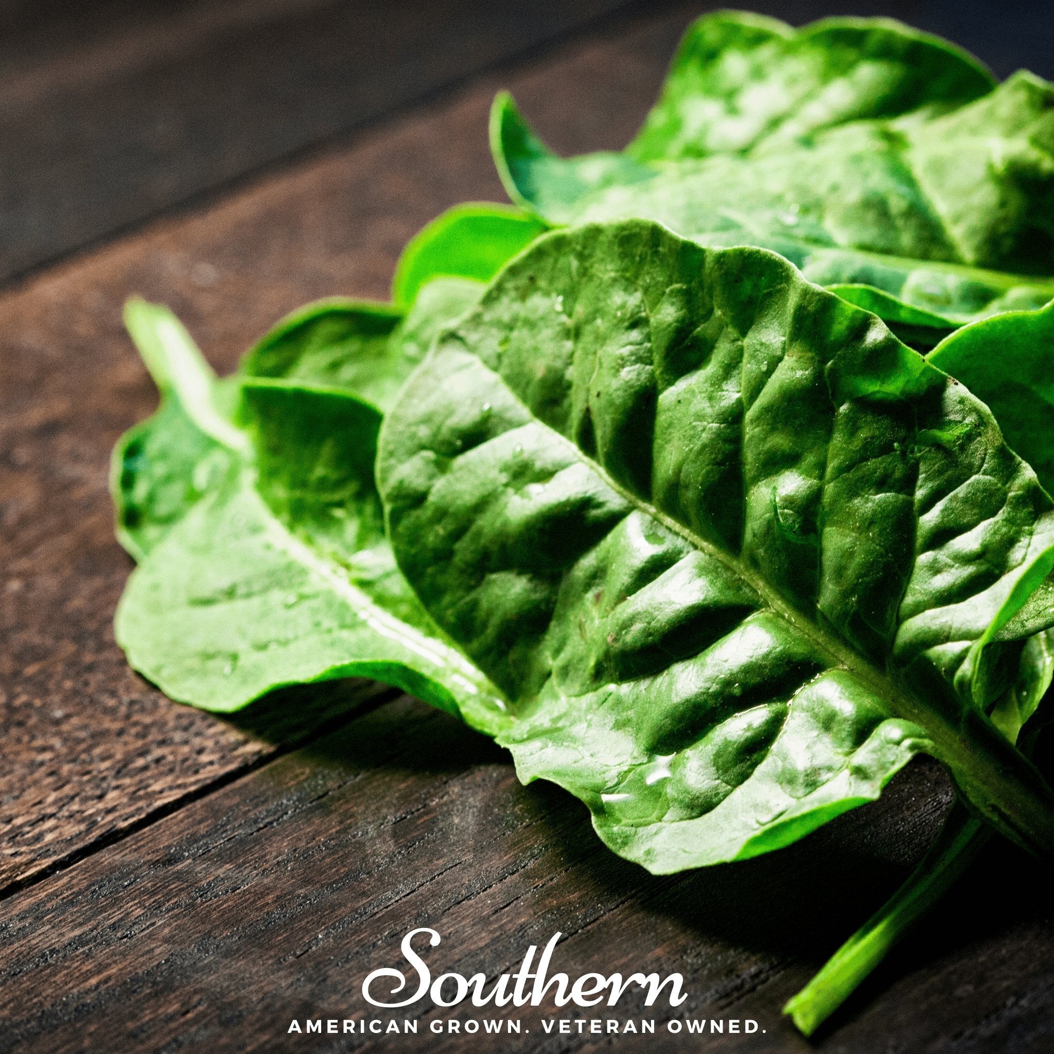 Giant Noble Spinach – 150 Seeds
