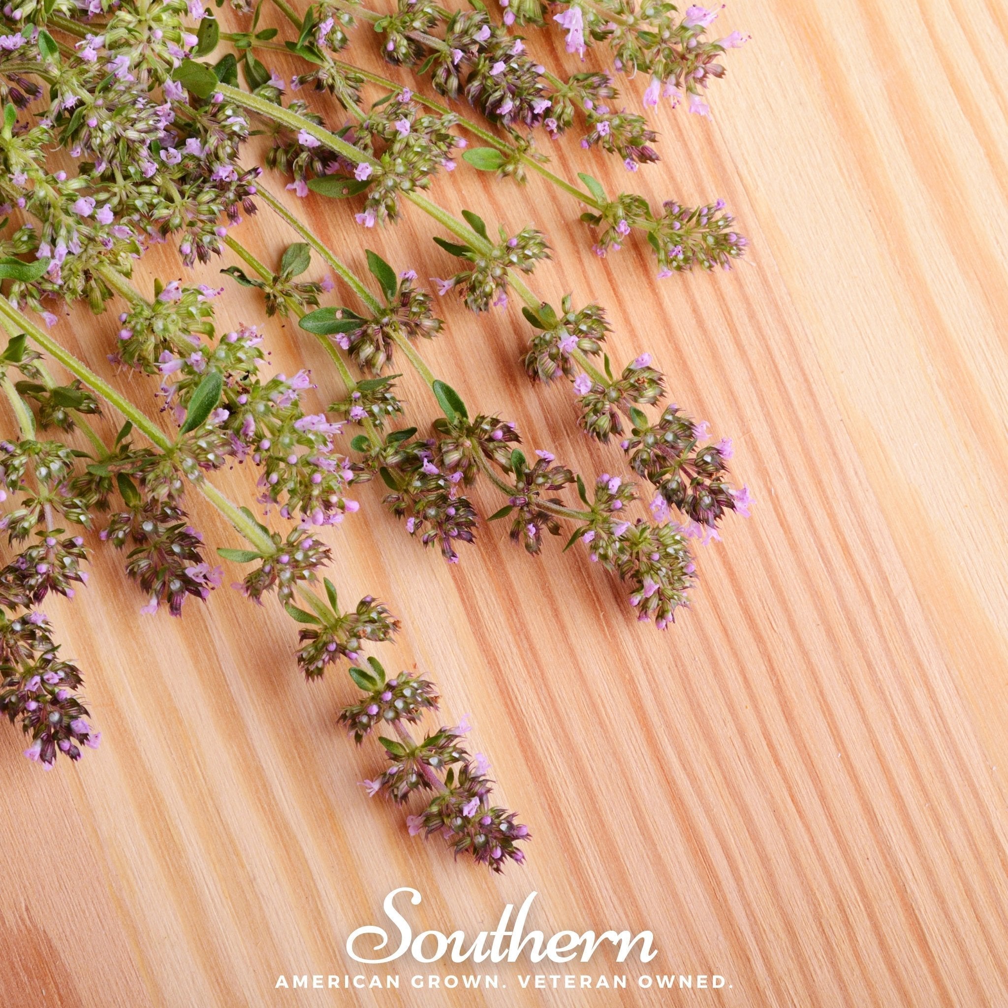 Wild Thyme – 250 Seeds