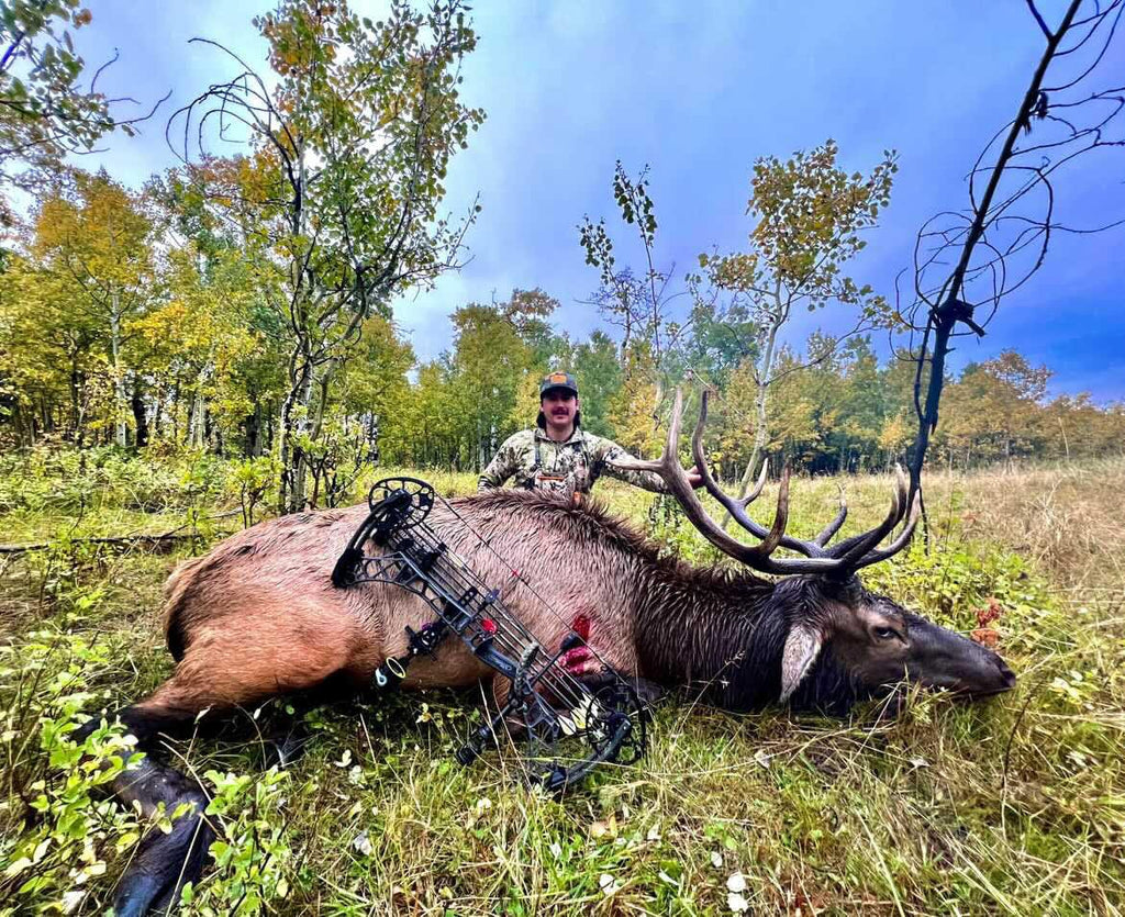 TOTA | 100 grain broadhead | 1-inch solid | fixed blade