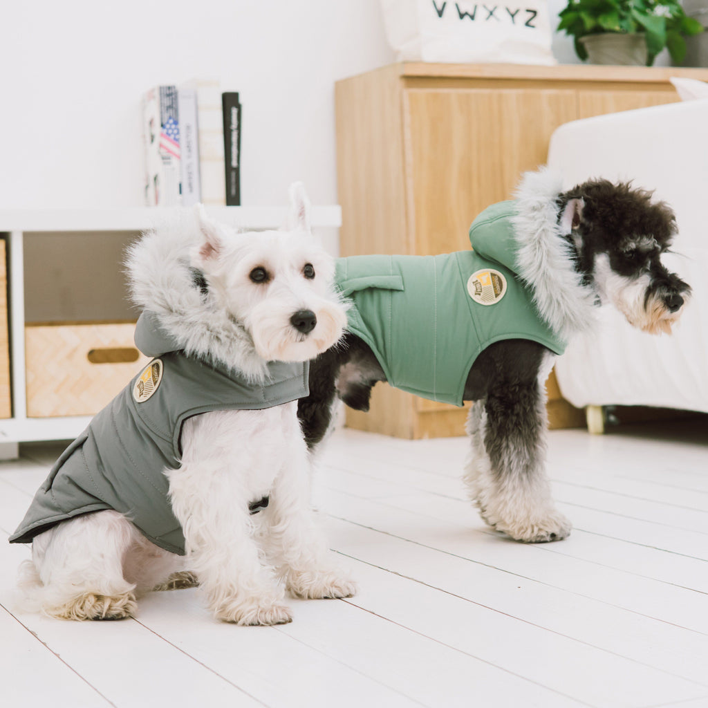 Touchdog 'Eskimo-Swag' Duck-Down Insulated Winter Dog Coat Parka
