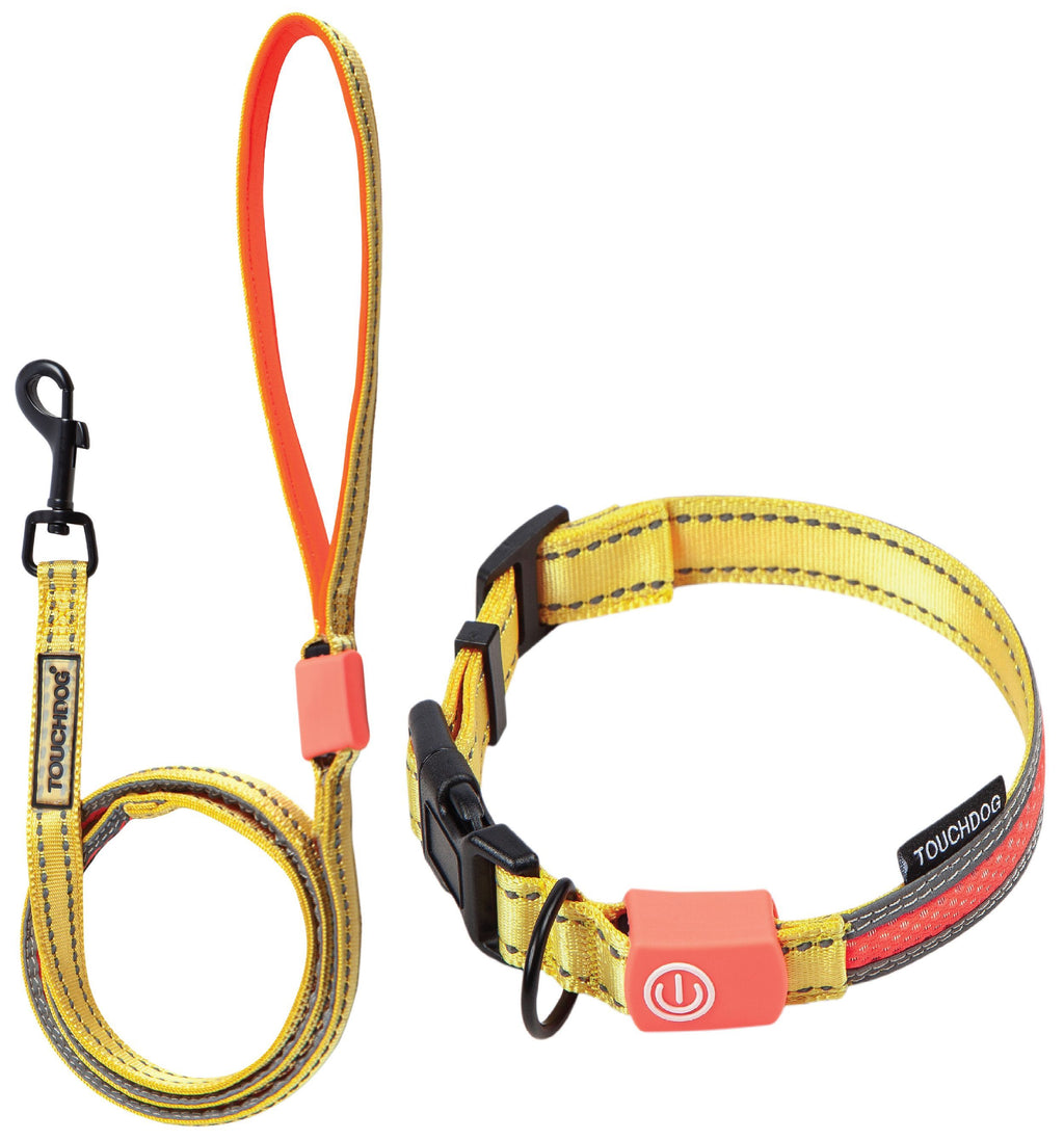 Touchdog ®'Lumiglow' 2-in-1 USB Charging LED Lighting Water-Resistant Dog Leash and Collar