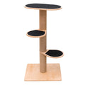 Cat Climbing Tower
