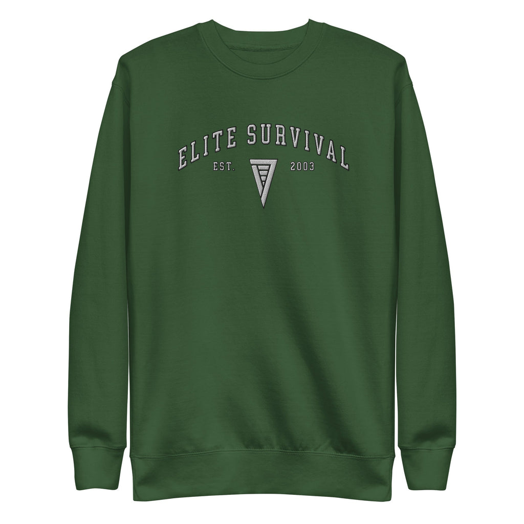Unisex Embroidered Sweatshirt