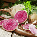 Watermelon Radish – 50 Seeds